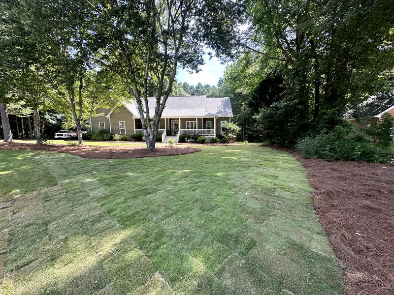 Sod Installation