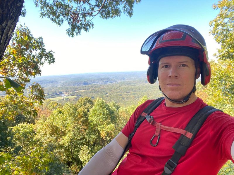 Tree Trimming
