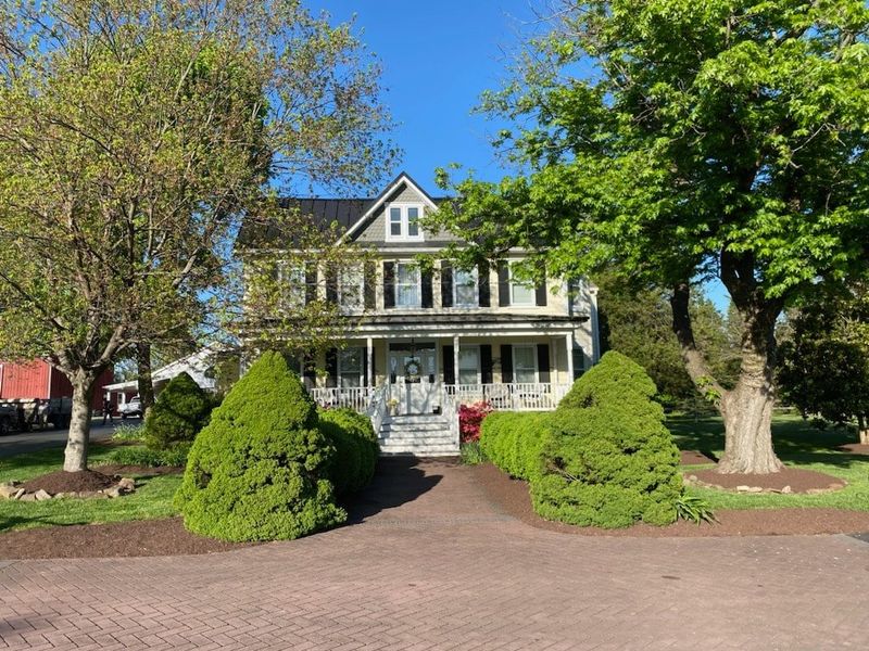 Shrub & Hedge Trimming