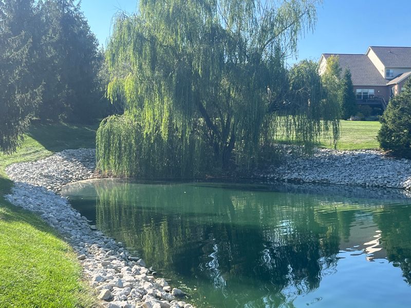 Pond Projects