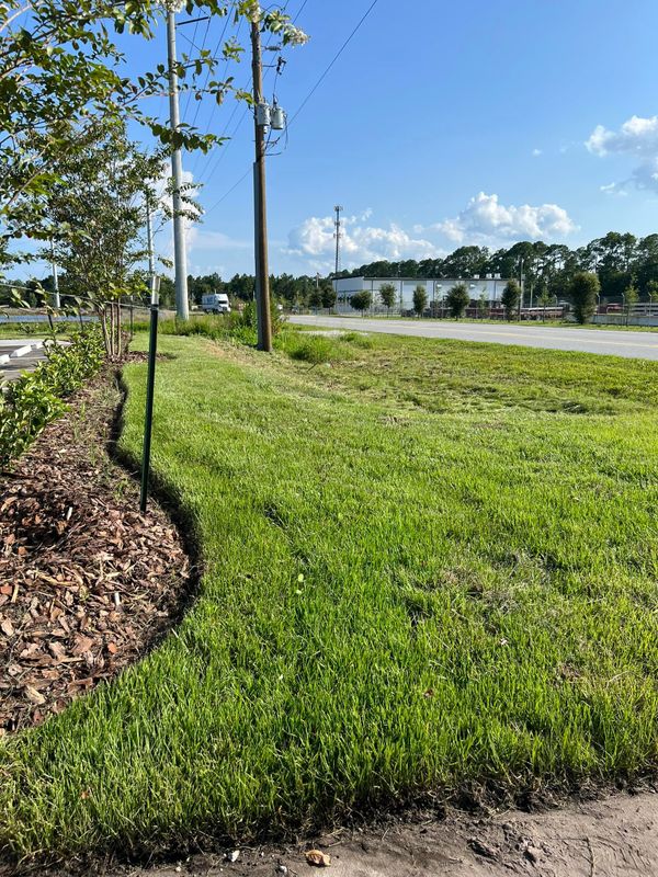 Landscaping