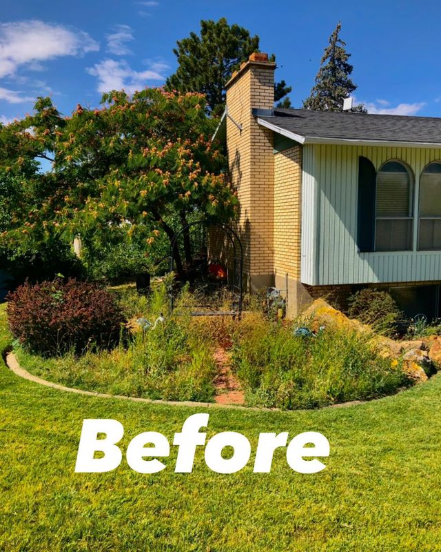Landscaping