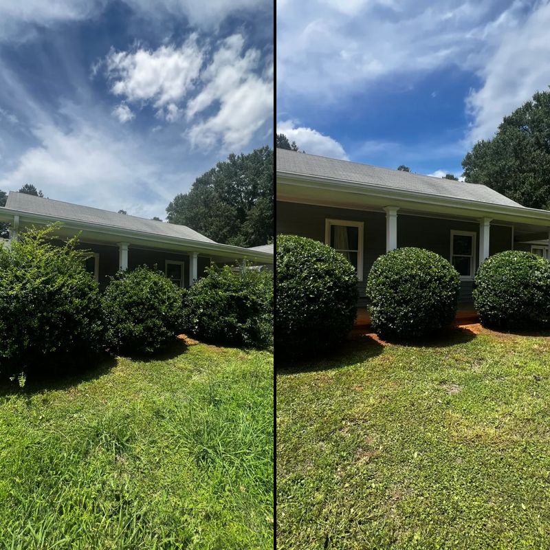 Lawn Care and Maintenance