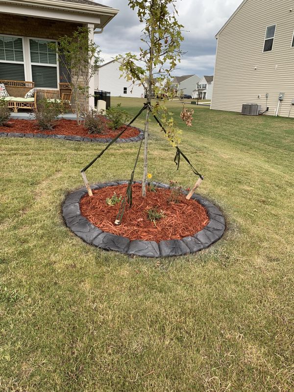 Landscape Curbing, Decorative Border Systems, Concrete Curbing Replacement