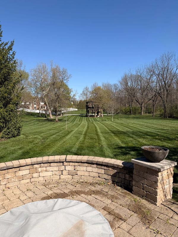Lawn Care and Maintenance