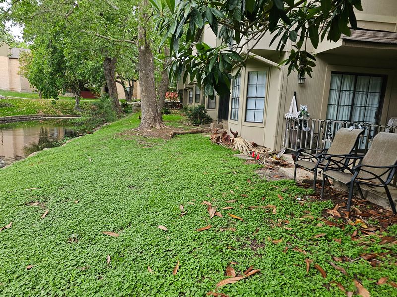 Mowing