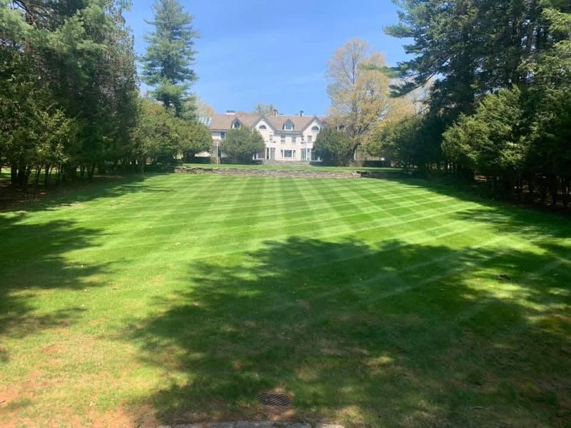 Lawn Maintenance