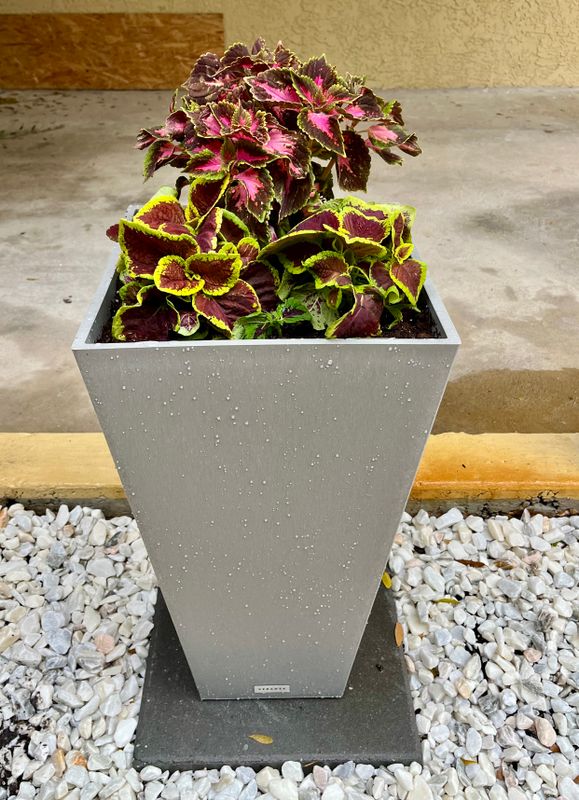 Container Gardens/Flower Arrangements 