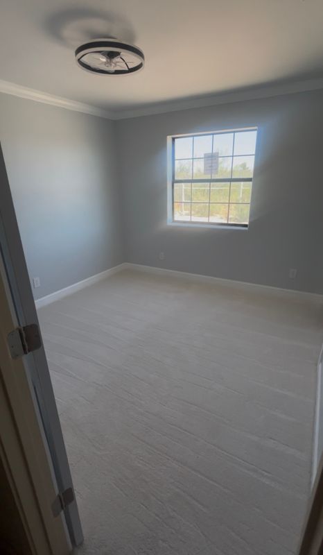 Painting Services