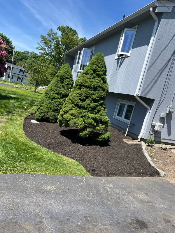 Mulch Installation