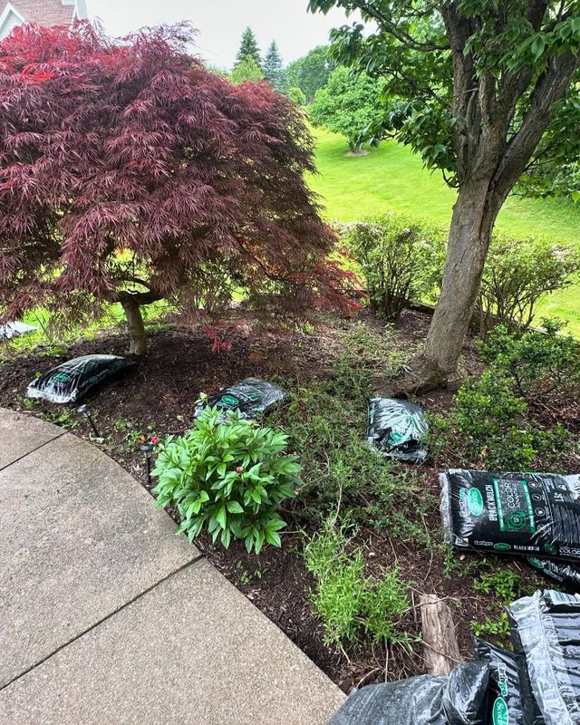Exterior Repairs