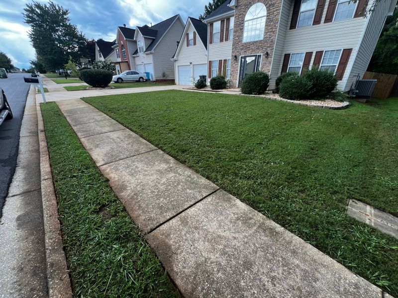 Lawn Care and Maintenance