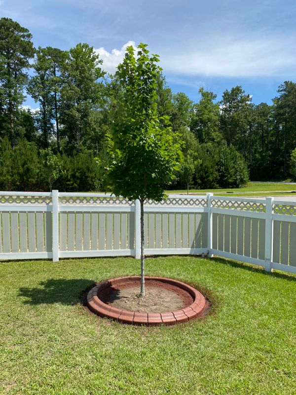 Concrete Edging