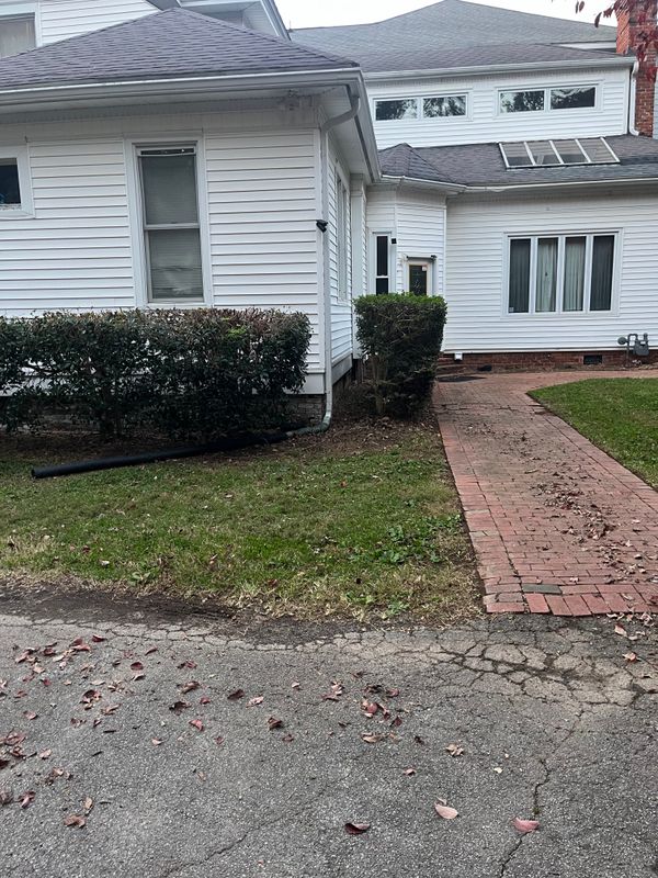 Shrub Trimming gallery