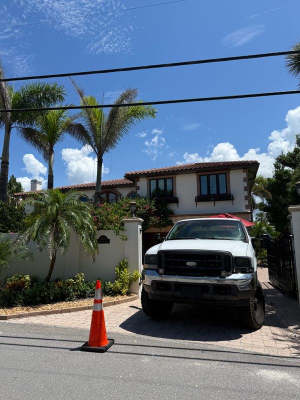 Tree Removal