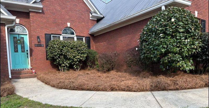 Mulch Installation