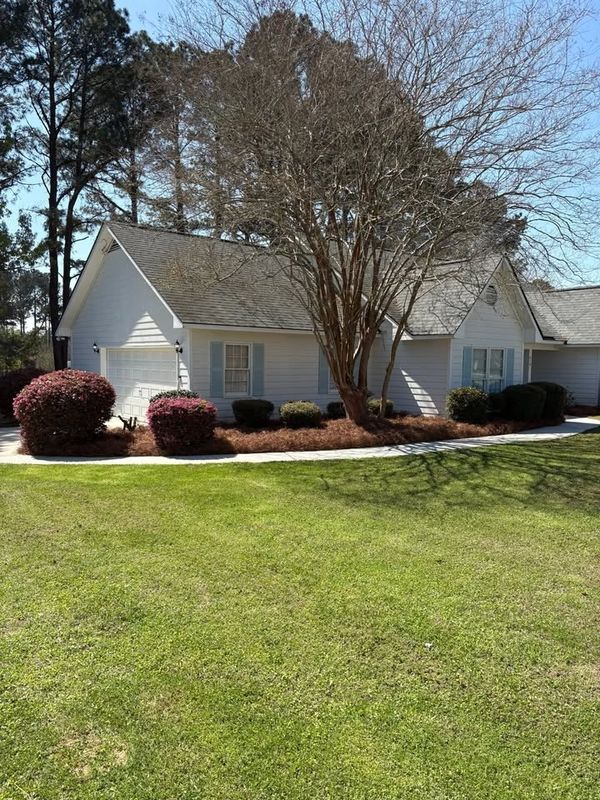 Tree & Shrub Care
