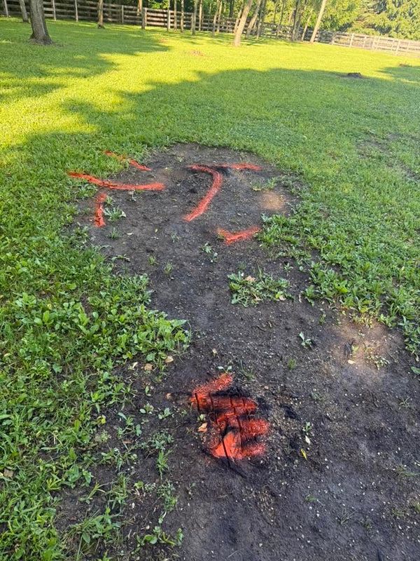 Stump Removal