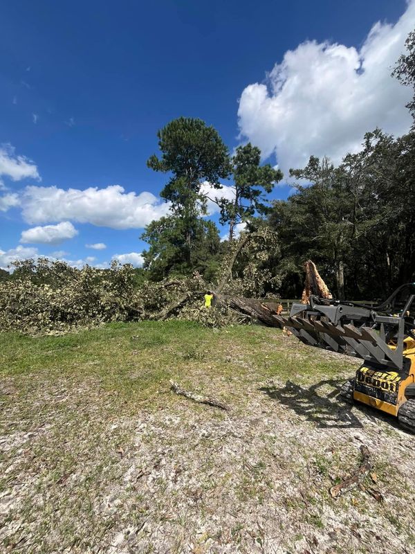 Land Clearing
