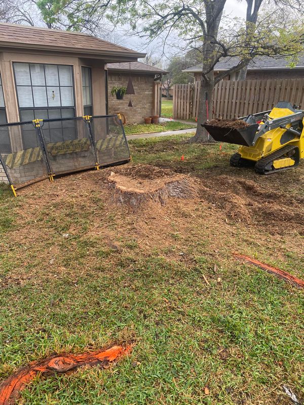 Stump Grinding