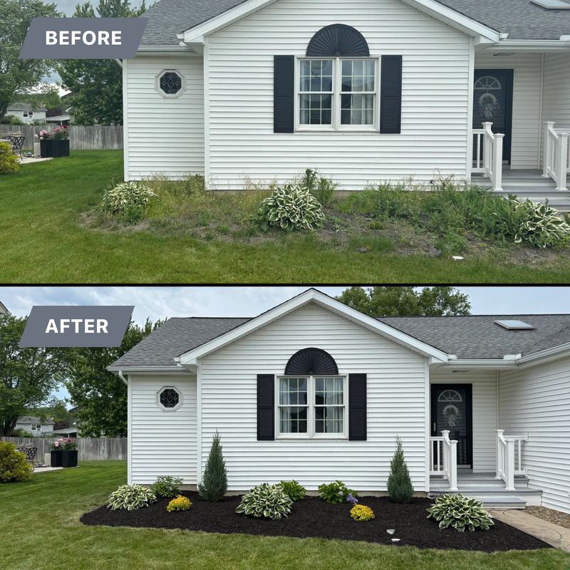 Before/After 
