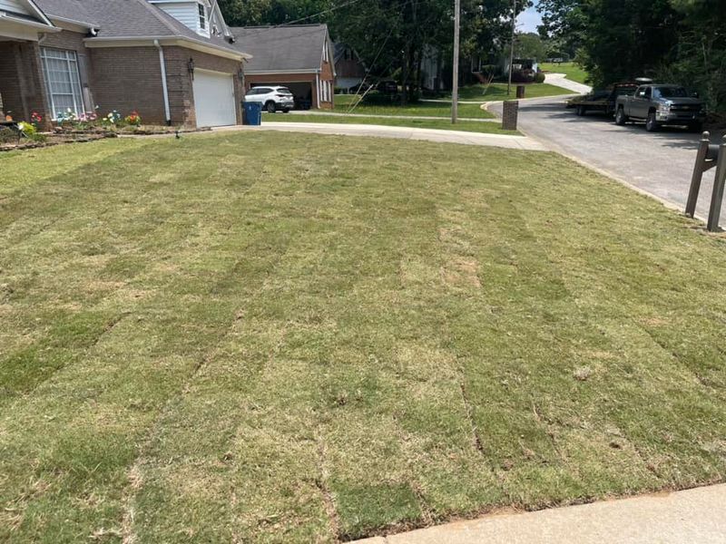 Sod Work