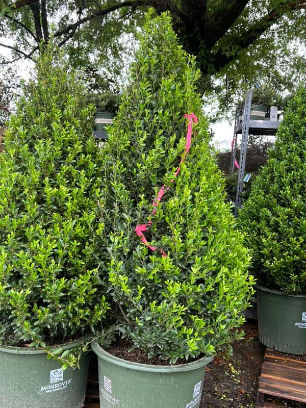Landscaping gallery