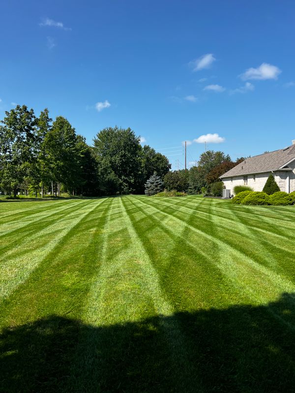 Lawn Care gallery