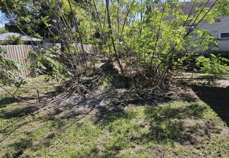 Land Clearing