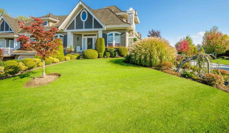 Lawn Maintenance