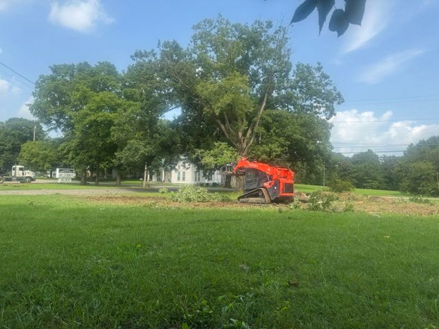 Lot Clearing