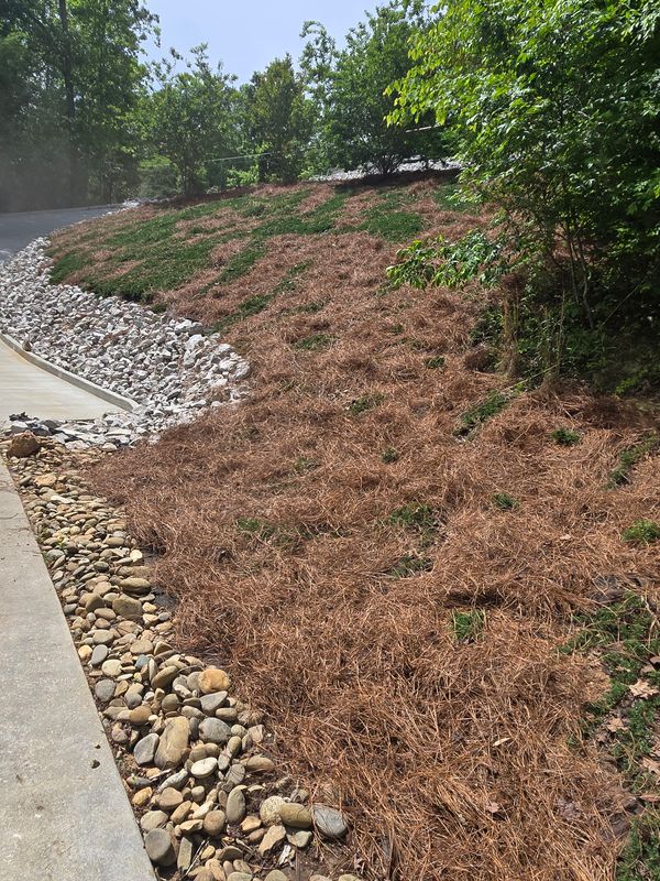 Landscape Installation