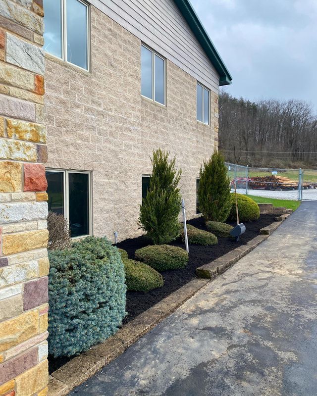 Shrub Trimming