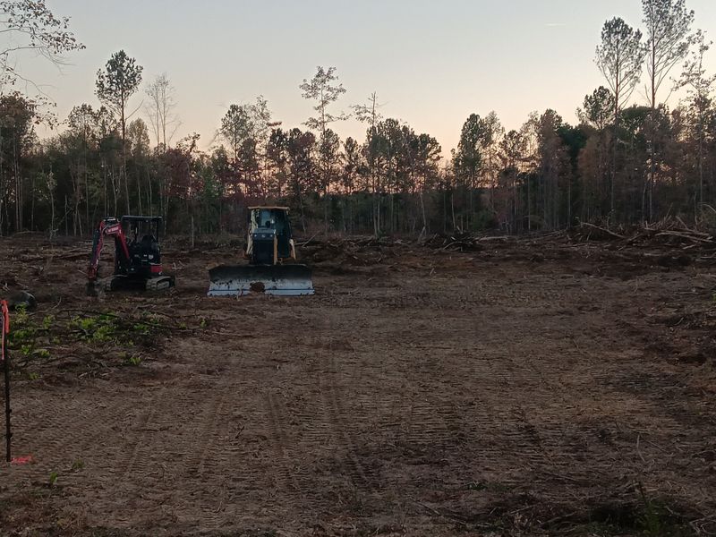 Land clearing and site preparation