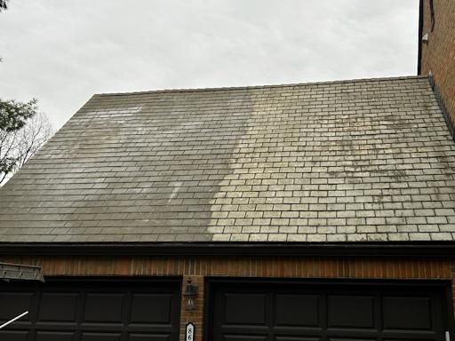 Roof Cleaning