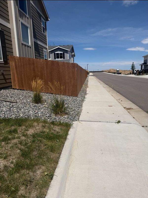 Xeriscaping