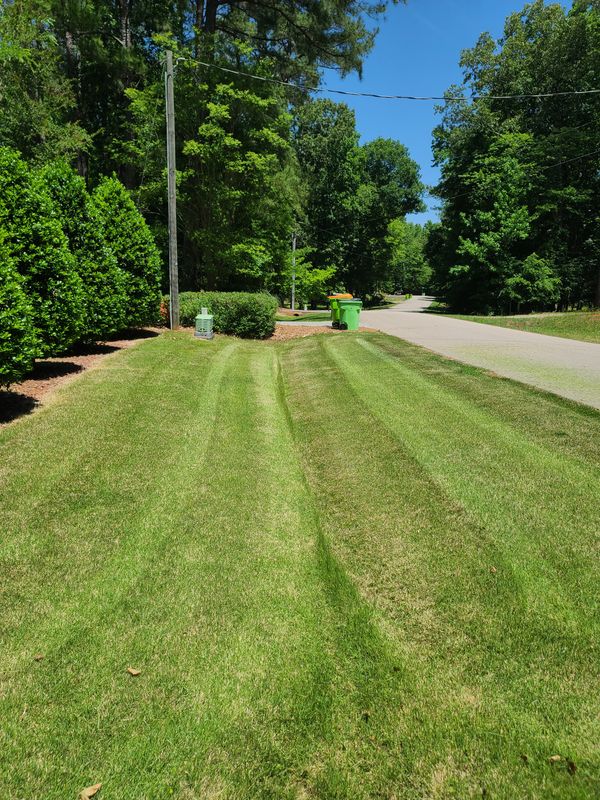 Lawn Maintenance