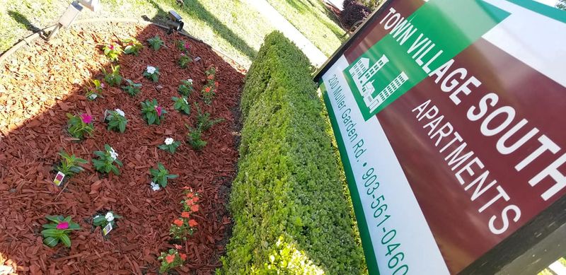 Flower Beds