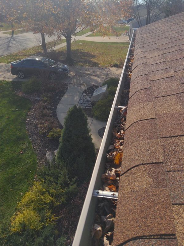 Roof Cleaning