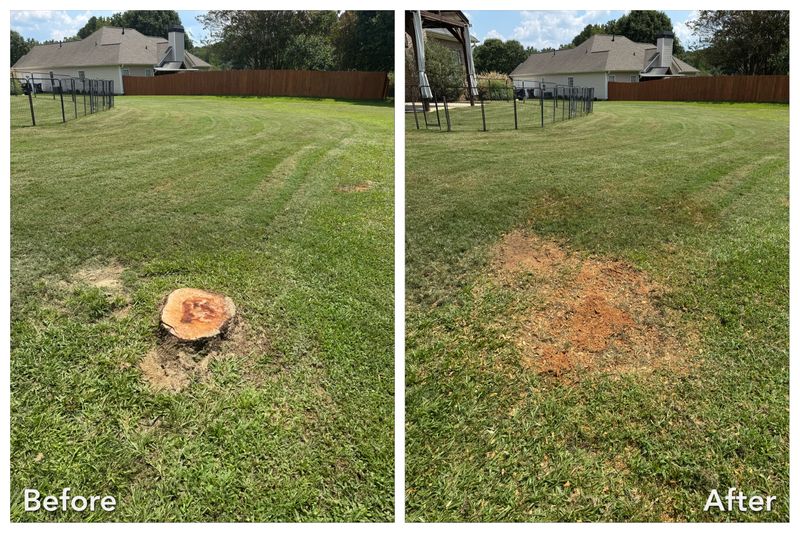 Stump Grinding & Removal
