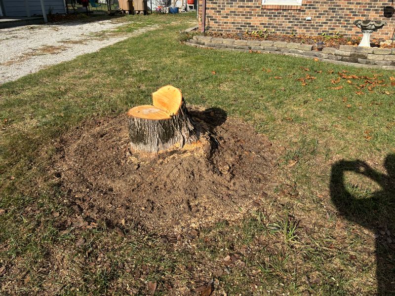 Stump Removal gallery