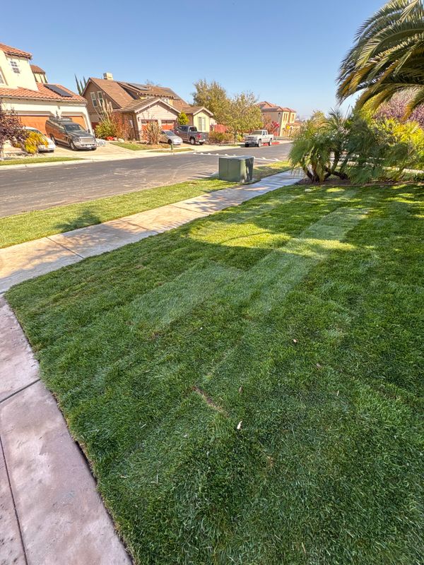 Landscaping