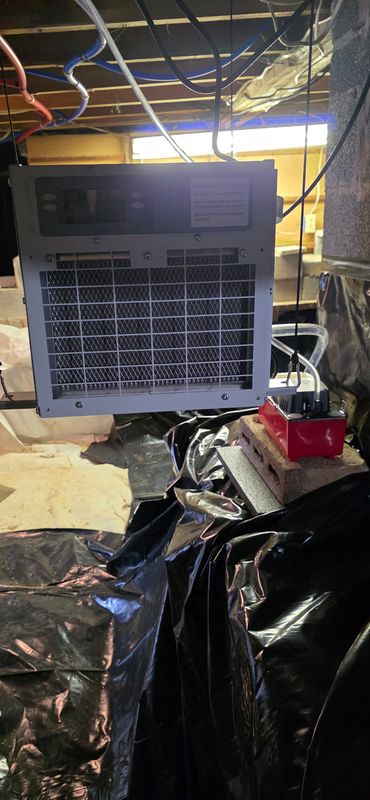 Crawl Space Maintenance