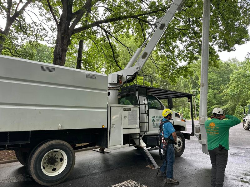 Tree Pruning