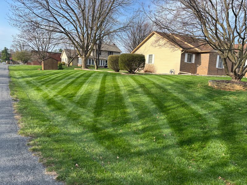 Lawn Mowing