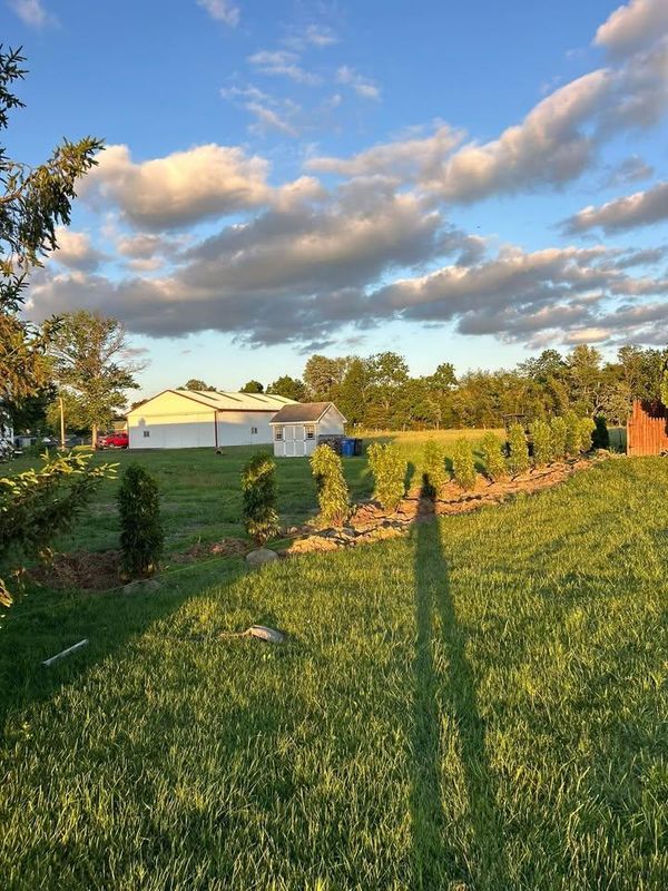 Tree and Shrub Planting