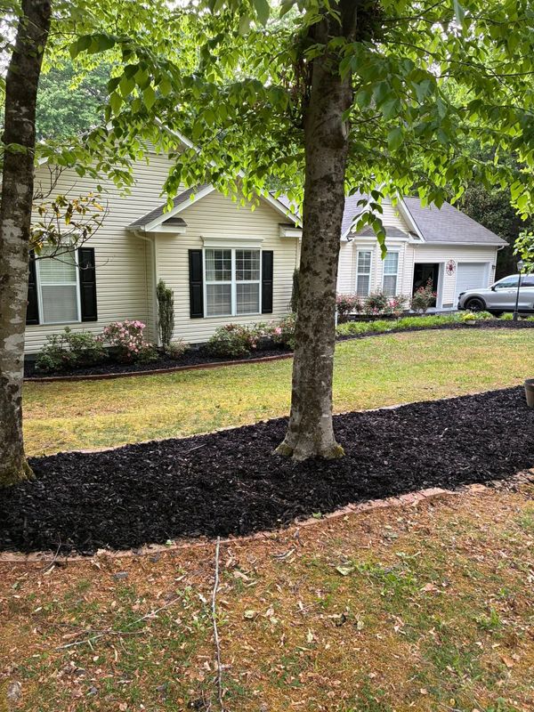 Landscape Design