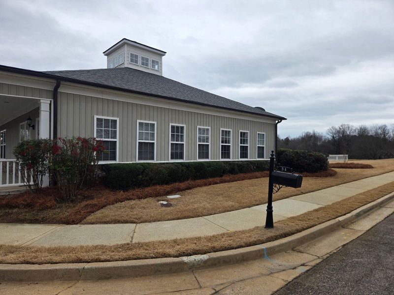 🏢 Commercial Landscape Installation