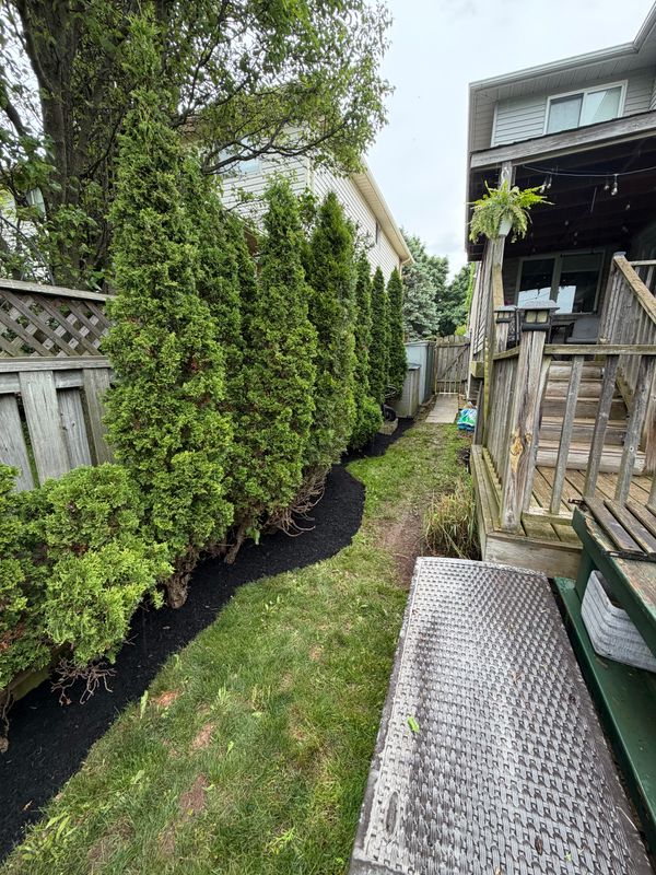 Landscaping