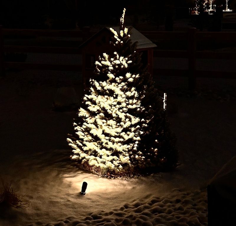Landscape Lighting